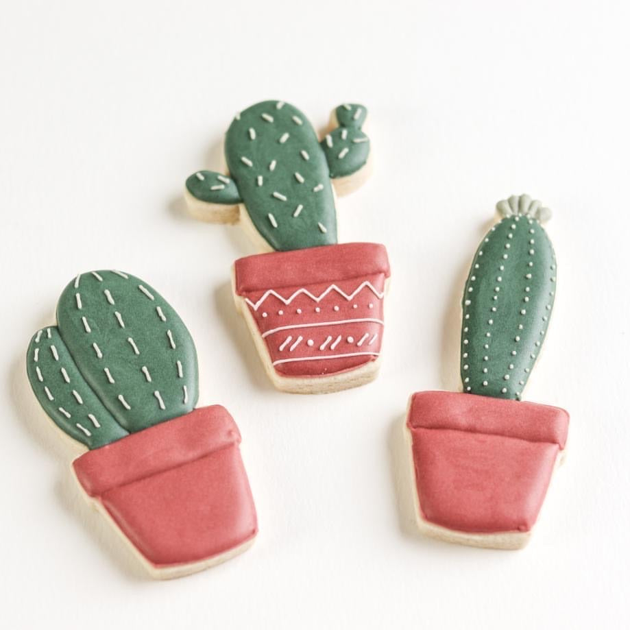 Cute Cactus Set