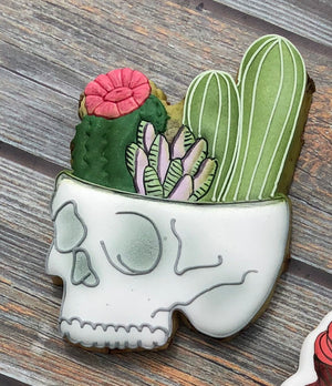 Skull with Succulents