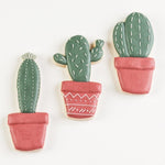 Cute Cactus Set